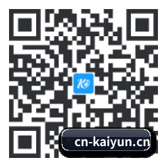 系统版 iOS 二维码